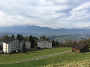 Feriendomizil Suldis, Batschuns, Österreich